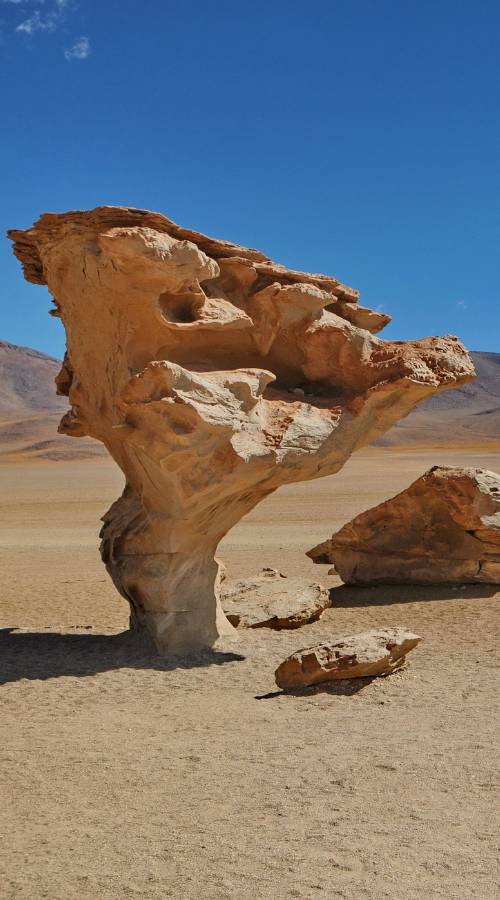 At Raíces Andinas we take you beyond the limits, exploring natural and cultural treasures