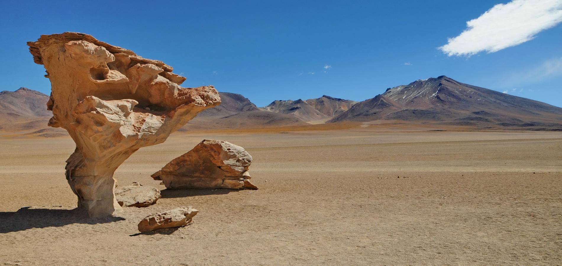 At Raíces Andinas we take you beyond the limits, exploring natural and cultural treasures