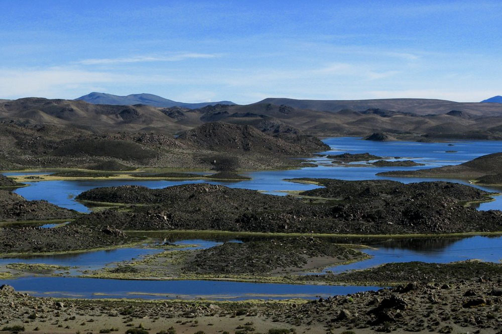 Arica to Codpa - Lauca