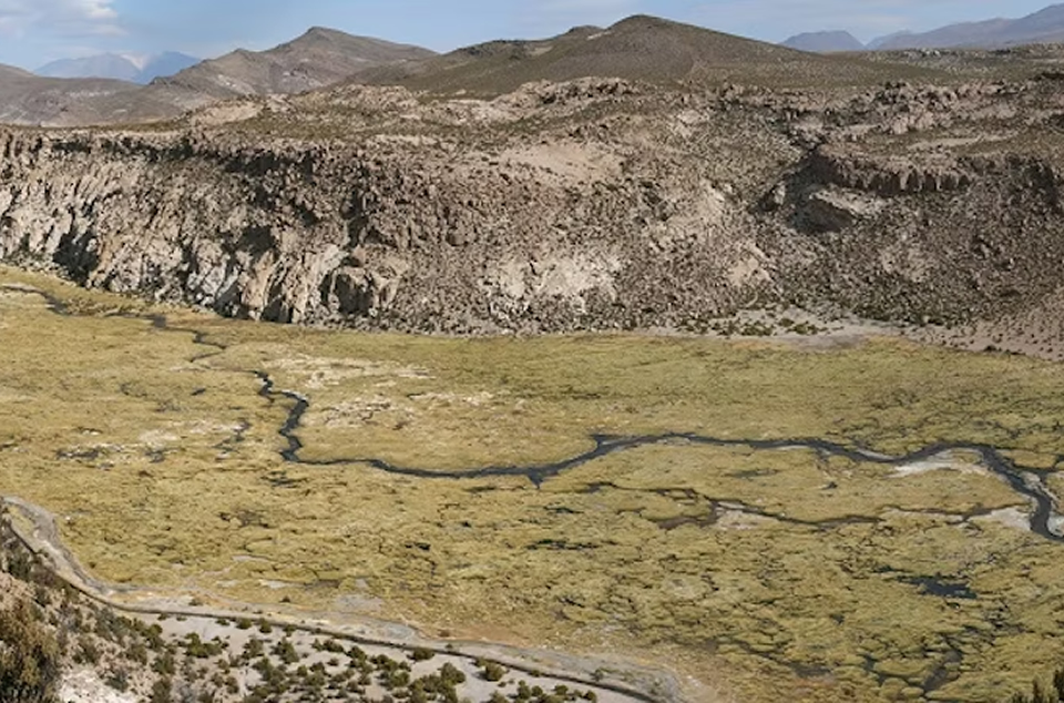 Lauca and Altiplano to Iquique