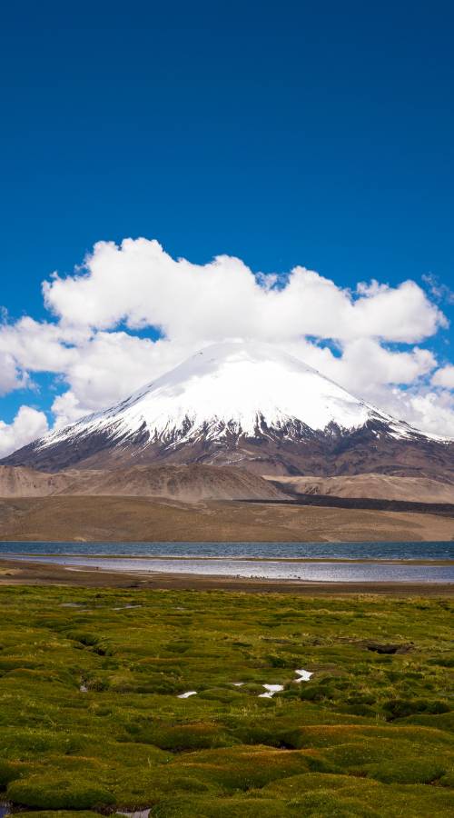 Discover the true essence of the Andes with Raíces Andinas