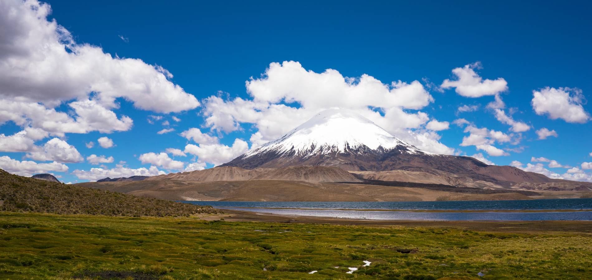 Discover the true essence of the Andes with Raíces Andinas