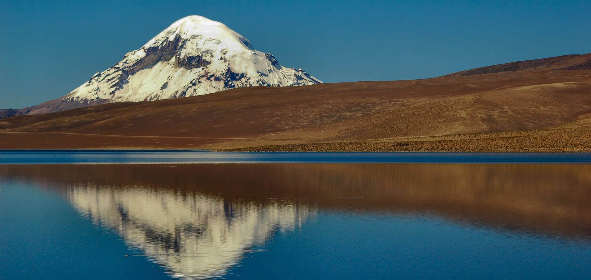 From the Atacama Desert to the Bolivian highlands, Raíces Andinas immerses you in an odyssey
