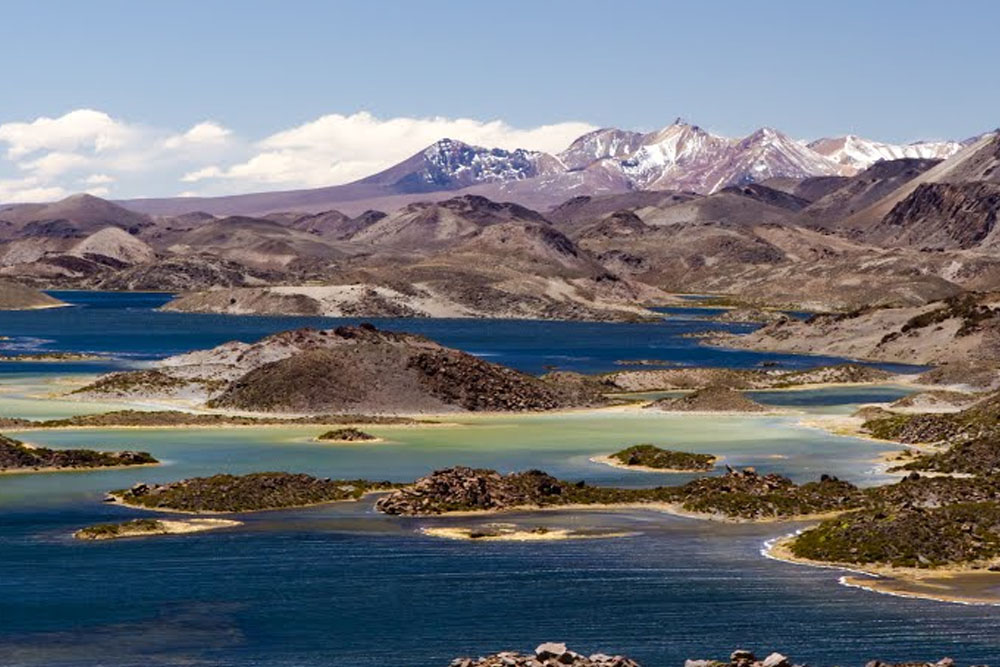 Arica – Putre - Lauca National Park - Surire Salt Flat – Codpa