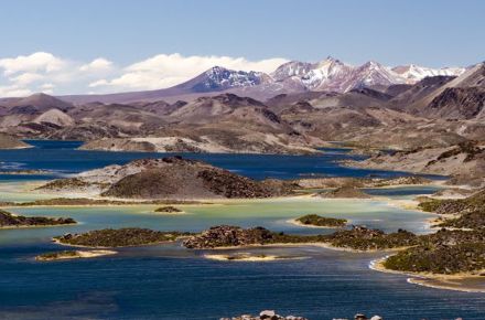 Arica – Putre - Lauca National Park - Surire Salt Flat – Codpa