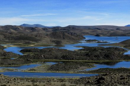 Arica to Codpa - Lauca