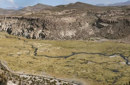 Lauca et Altiplano à Iquique