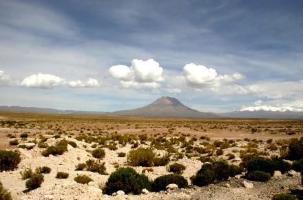 Norte Grande Chile-Tour: Lauca-Nationalpark, Altiplanic-Lagunen und San Pedro de Atacama