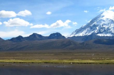 Sajama